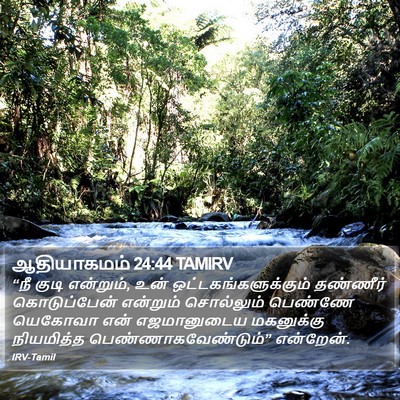 ஆதியாகமம் 24:44 TAMIRV Bible Verse Image