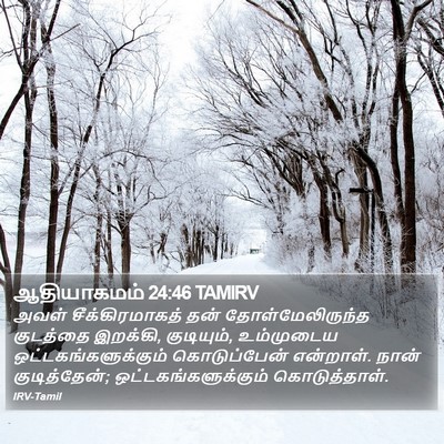 ஆதியாகமம் 24:46 TAMIRV Bible Verse Image