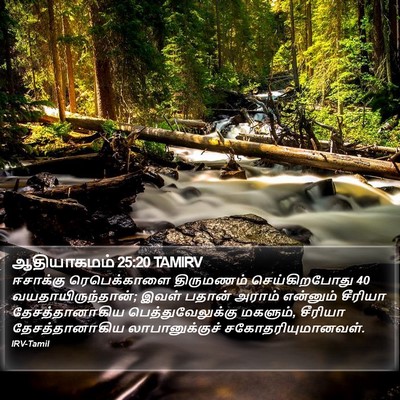 ஆதியாகமம் 25:20 TAMIRV Bible Verse Image