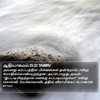 ஆதியாகமம் 25:22 TAMIRV Bible Verse Image