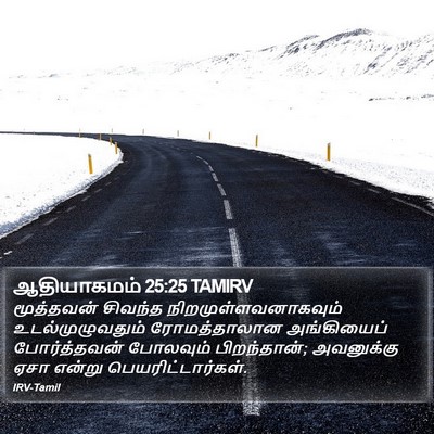 ஆதியாகமம் 25:25 TAMIRV Bible Verse Image