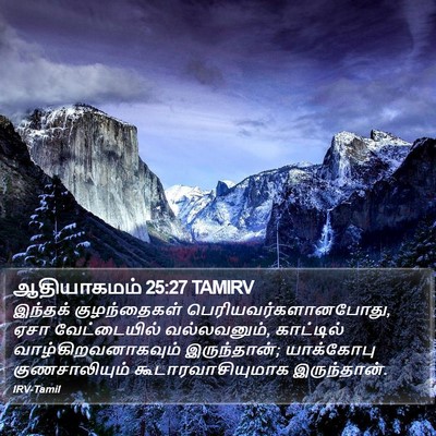 ஆதியாகமம் 25:27 TAMIRV Bible Verse Image