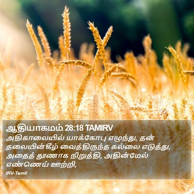 ஆதியாகமம் 28:18 TAMIRV Bible Verse Image