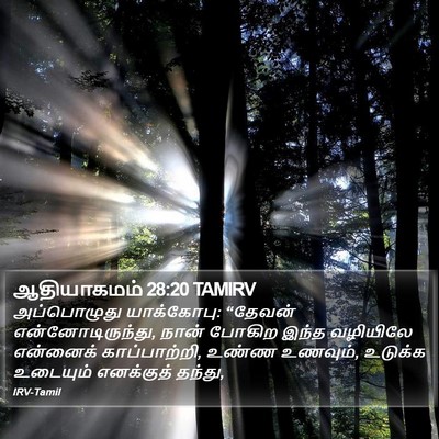 ஆதியாகமம் 28:20 TAMIRV Bible Verse Image
