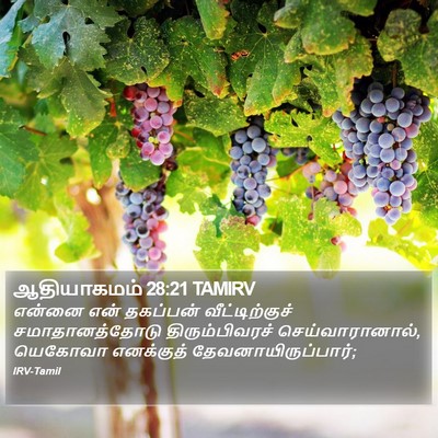 ஆதியாகமம் 28:21 TAMIRV Bible Verse Image