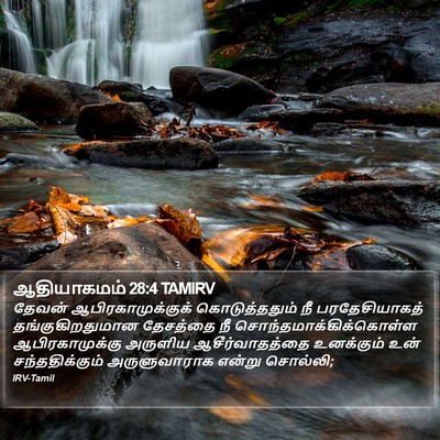ஆதியாகமம் 28:4 TAMIRV Bible Verse Image