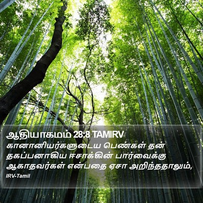 ஆதியாகமம் 28:8 TAMIRV Bible Verse Image