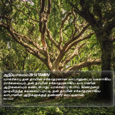ஆதியாகமம் 29:10 TAMIRV Bible Verse Image