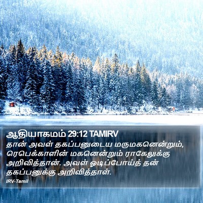 ஆதியாகமம் 29:12 TAMIRV Bible Verse Image