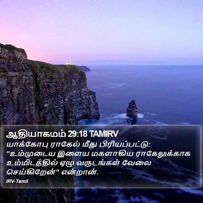ஆதியாகமம் 29:18 TAMIRV Bible Verse Image