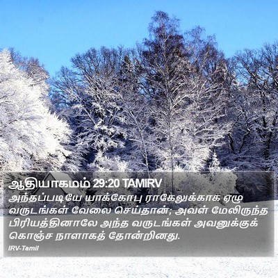 ஆதியாகமம் 29:20 TAMIRV Bible Verse Image
