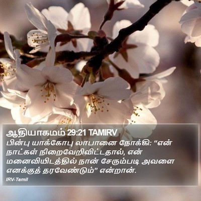 ஆதியாகமம் 29:21 TAMIRV Bible Verse Image