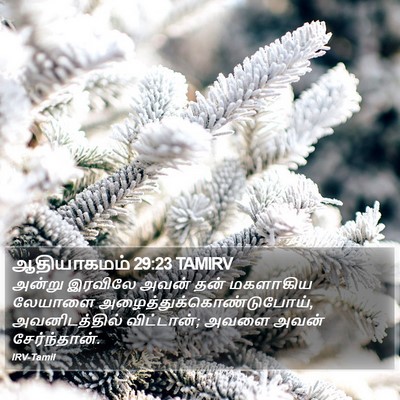 ஆதியாகமம் 29:23 TAMIRV Bible Verse Image