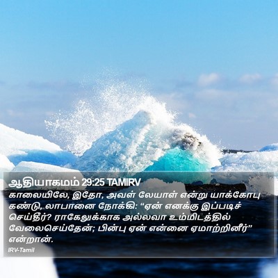 ஆதியாகமம் 29:25 TAMIRV Bible Verse Image