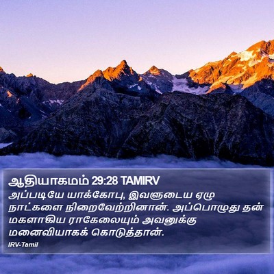 ஆதியாகமம் 29:28 TAMIRV Bible Verse Image