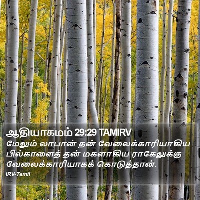 ஆதியாகமம் 29:29 TAMIRV Bible Verse Image