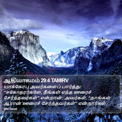 ஆதியாகமம் 29:4 TAMIRV Bible Verse Image