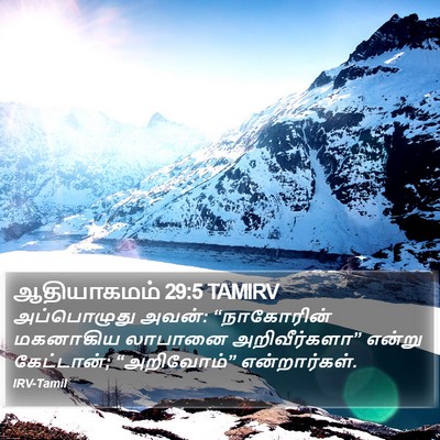 ஆதியாகமம் 29:5 TAMIRV Bible Verse Image