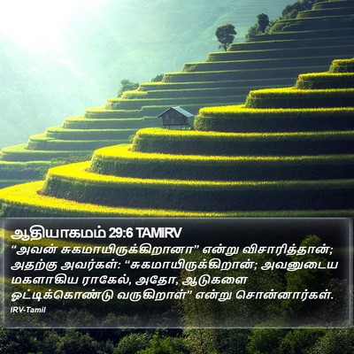 ஆதியாகமம் 29:6 TAMIRV Bible Verse Image