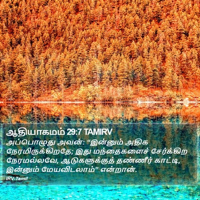 ஆதியாகமம் 29:7 TAMIRV Bible Verse Image