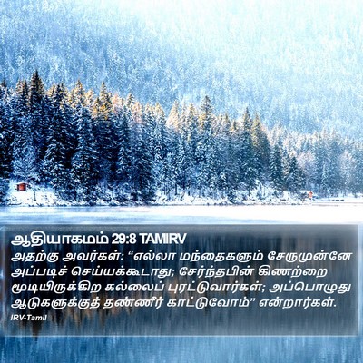 ஆதியாகமம் 29:8 TAMIRV Bible Verse Image