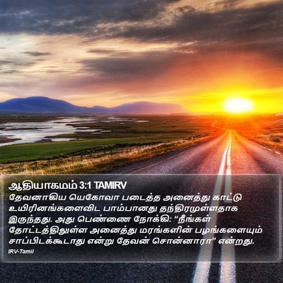 ஆதியாகமம் 3:1 TAMIRV Bible Verse Image