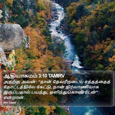 ஆதியாகமம் 3:10 TAMIRV Bible Verse Image