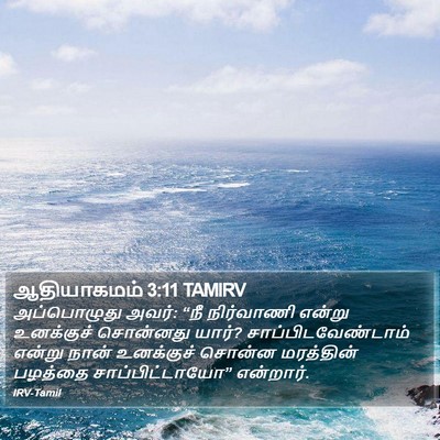 ஆதியாகமம் 3:11 TAMIRV Bible Verse Image