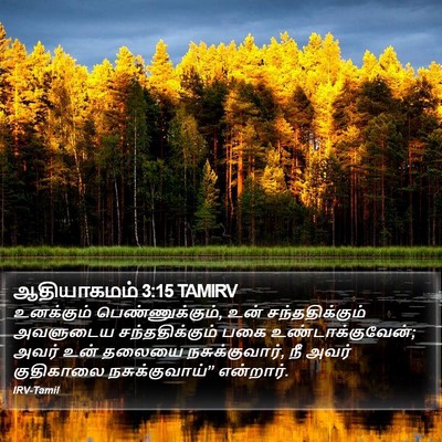 ஆதியாகமம் 3:15 TAMIRV Bible Verse Image