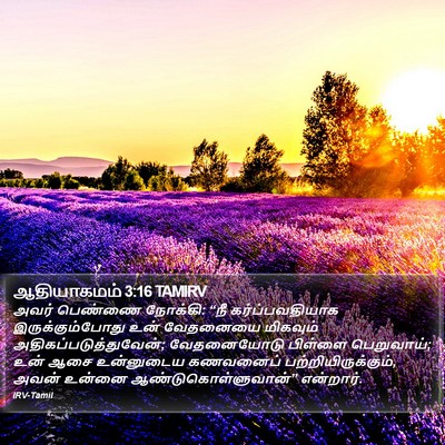 ஆதியாகமம் 3:16 TAMIRV Bible Verse Image