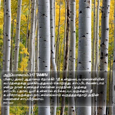 ஆதியாகமம் 3:17 TAMIRV Bible Verse Image