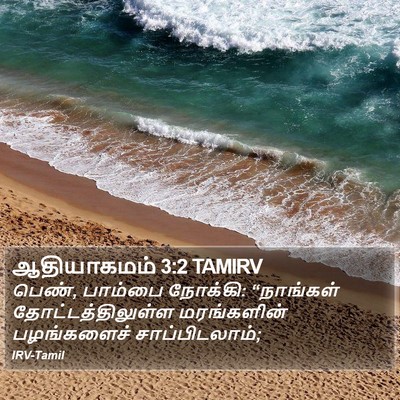 ஆதியாகமம் 3:2 TAMIRV Bible Verse Image