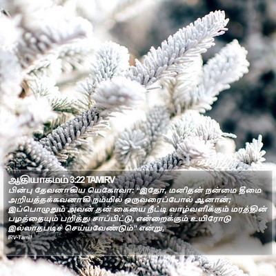 ஆதியாகமம் 3:22 TAMIRV Bible Verse Image