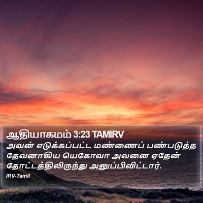 ஆதியாகமம் 3:23 TAMIRV Bible Verse Image