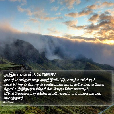 ஆதியாகமம் 3:24 TAMIRV Bible Verse Image