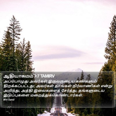 ஆதியாகமம் 3:7 TAMIRV Bible Verse Image