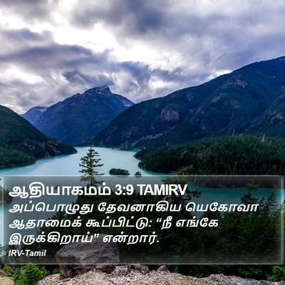 ஆதியாகமம் 3:9 TAMIRV Bible Verse Image