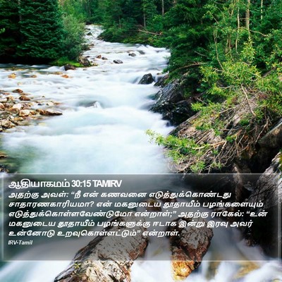 ஆதியாகமம் 30:15 TAMIRV Bible Verse Image