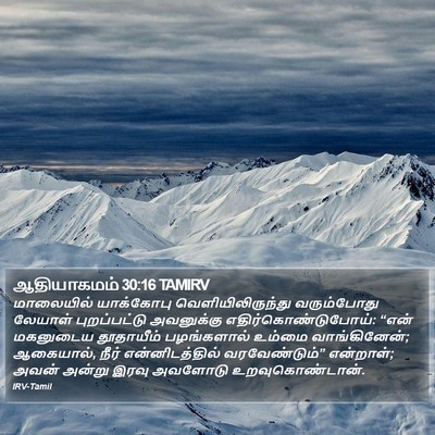 ஆதியாகமம் 30:16 TAMIRV Bible Verse Image