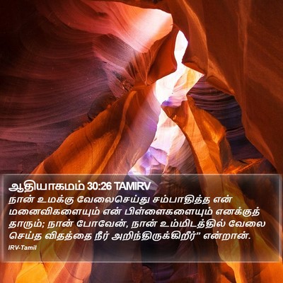 ஆதியாகமம் 30:26 TAMIRV Bible Verse Image