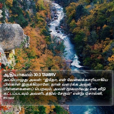 ஆதியாகமம் 30:3 TAMIRV Bible Verse Image