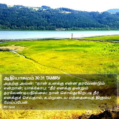 ஆதியாகமம் 30:31 TAMIRV Bible Verse Image