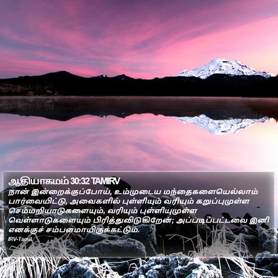 ஆதியாகமம் 30:32 TAMIRV Bible Verse Image