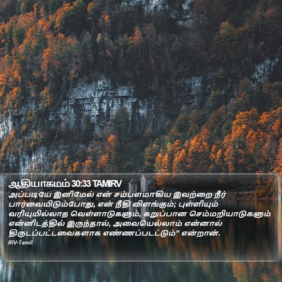 ஆதியாகமம் 30:33 TAMIRV Bible Verse Image