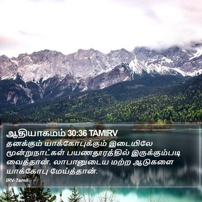 ஆதியாகமம் 30:36 TAMIRV Bible Verse Image