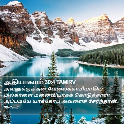 ஆதியாகமம் 30:4 TAMIRV Bible Verse Image