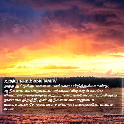 ஆதியாகமம் 30:40 TAMIRV Bible Verse Image