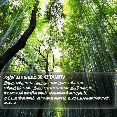 ஆதியாகமம் 30:43 TAMIRV Bible Verse Image