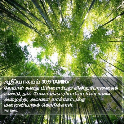 ஆதியாகமம் 30:9 TAMIRV Bible Verse Image
