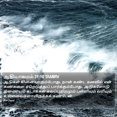 ஆதியாகமம் 31:10 TAMIRV Bible Verse Image